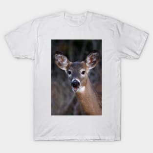 Well hello there! - White-tailed Deer T-Shirt